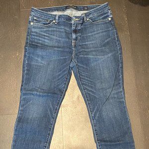 Lucky Brand Women's Lolita Skinny Jean 14/32 Ankle